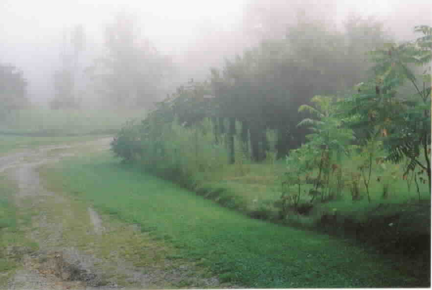 Site of of the old corn crib on the Conkle Farm